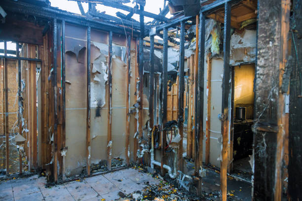 Professional Smoke Odor Removal technician working in Pennington, NJ